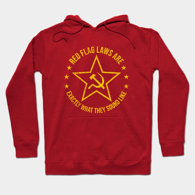 Red Flag Laws are Exactly What They Sound Like Distressed Hoodie by erock